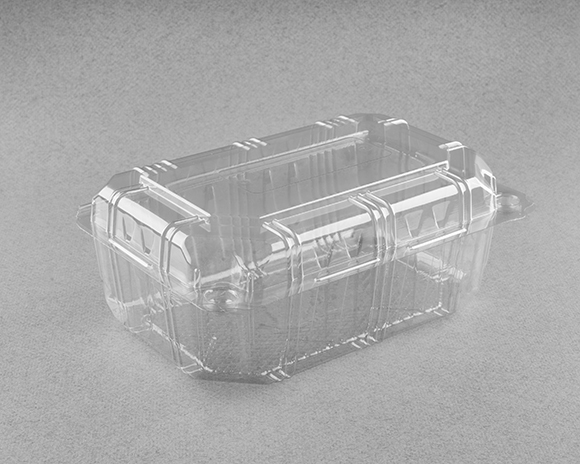 ﻓﻮکری ﺑﻠﻨﺪ